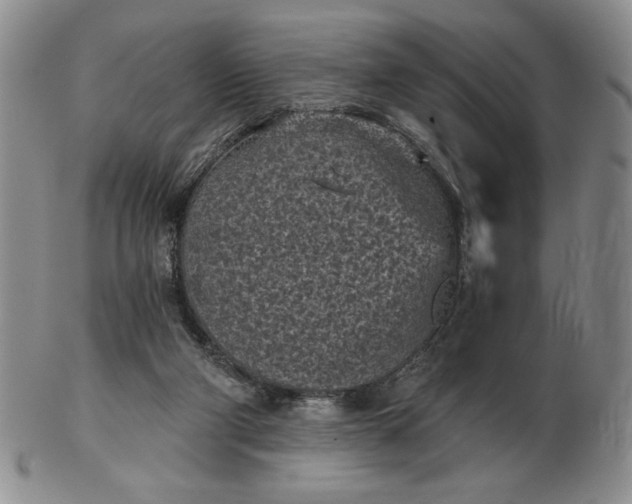 X0000103150114200809051646