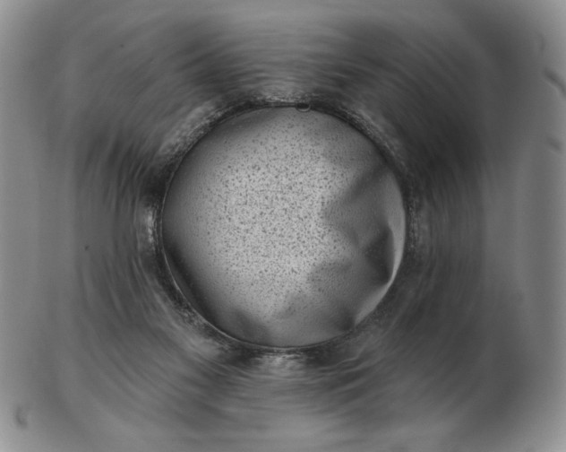 X0000103150117200809051646