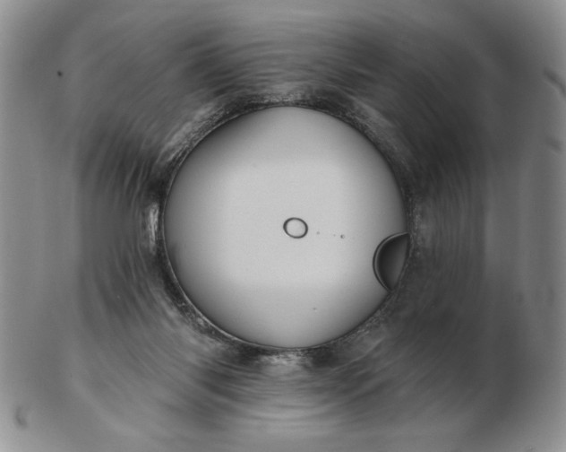 X0000103150118200809051646