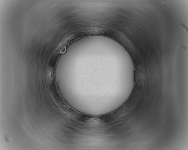 X0000103150119200809051646