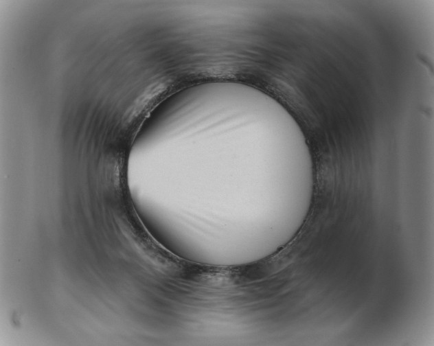 X0000103150120200809051646