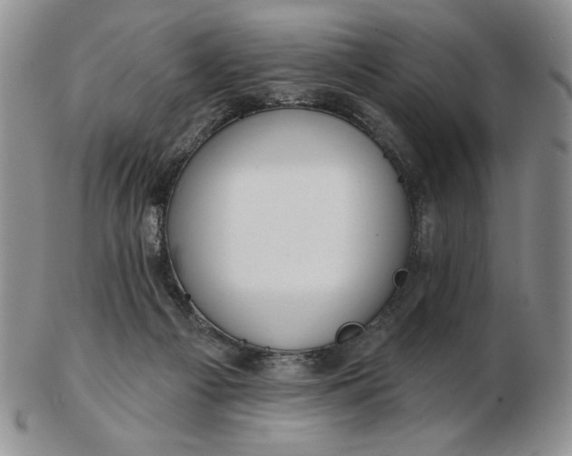 X0000103150121200809051646