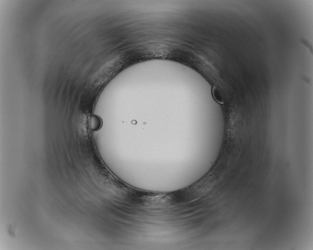 X0000103150122200809051646