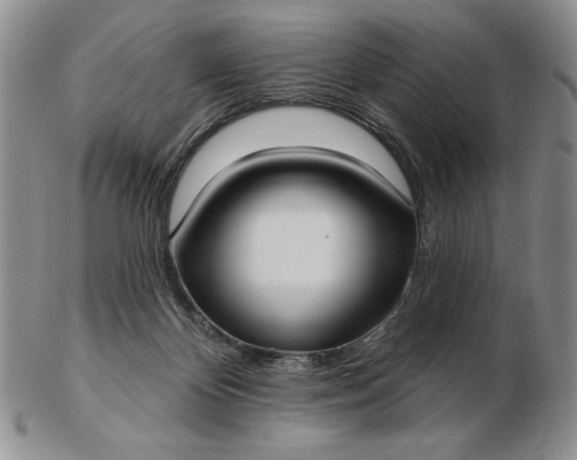 X0000103150124200809051646