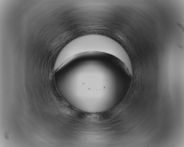 X0000103150125200809051646