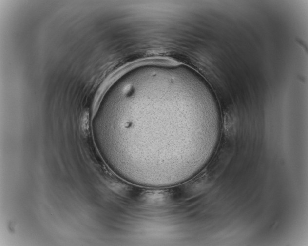 X0000103150127200809051646