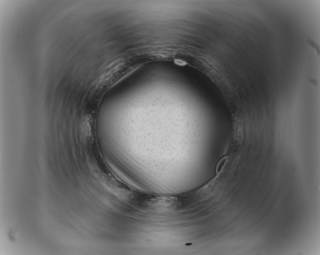 X0000103150128200809051646