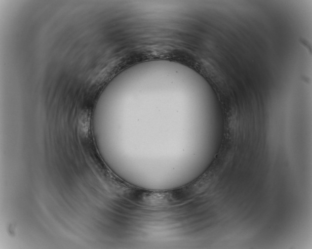 X0000103150129200809051645