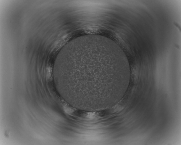 X0000103150130200809051645