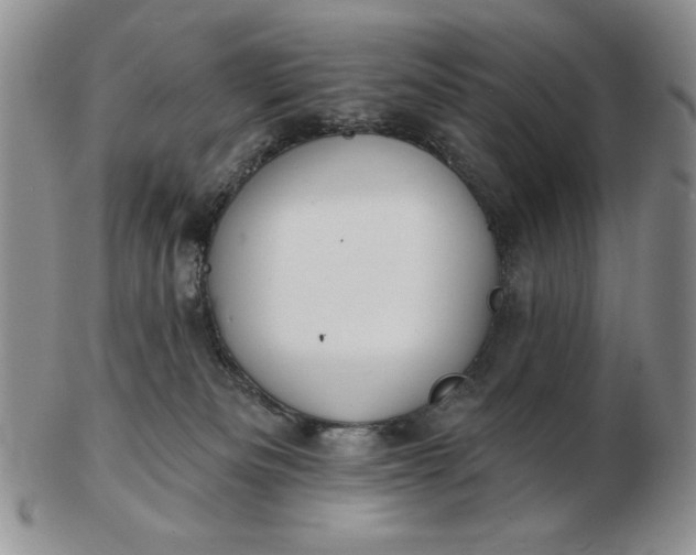 X0000103150133200809051645