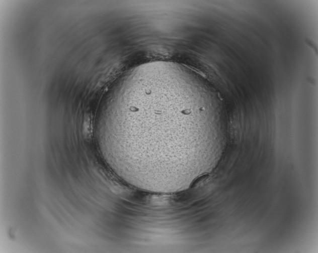 X0000103150134200809051645