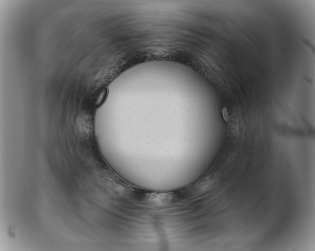 X0000103150135200809051645