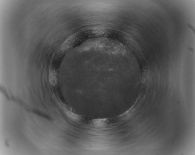 X0000103150136200809051645