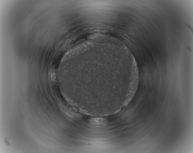 X0000103150137200809051645