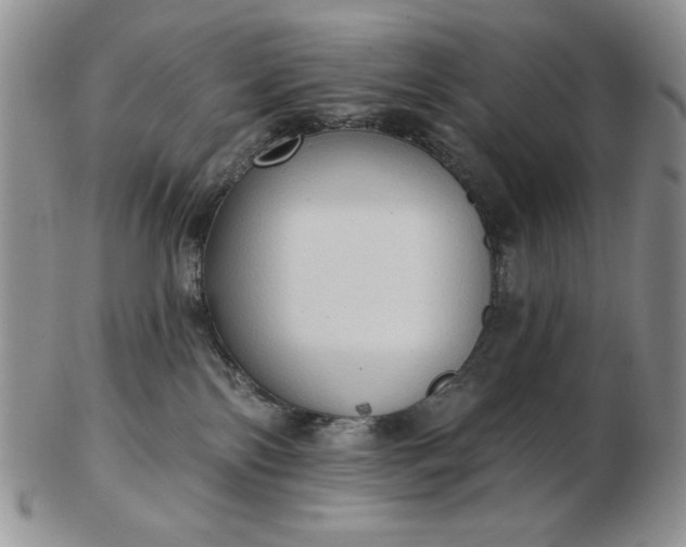 X0000103150138200809051645