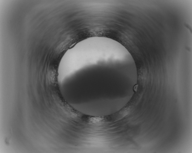 X0000103150139200809051645