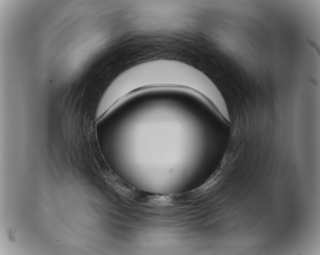 X0000103150140200809051645