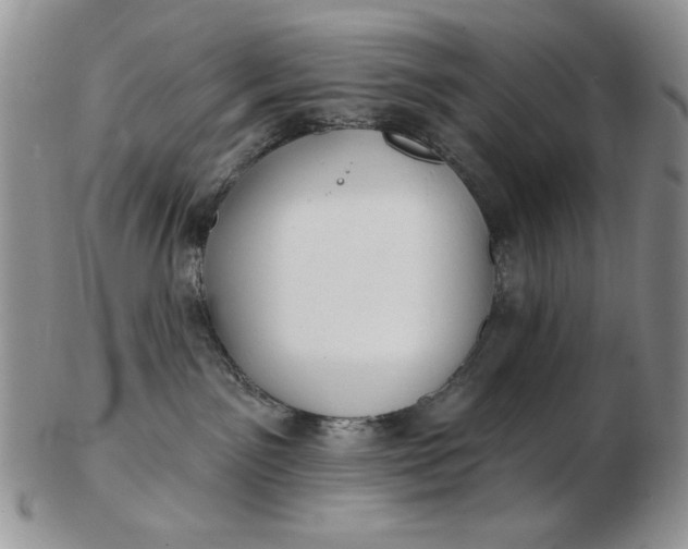 X0000103150141200809051645