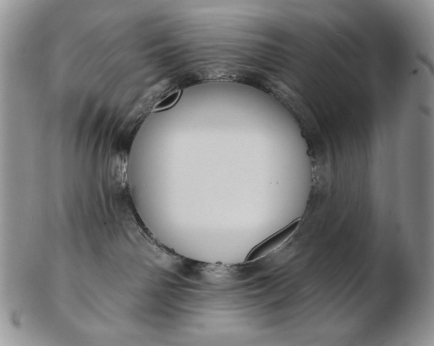 X0000103150142200809051645