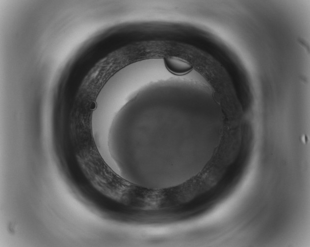 X0000103150143200809051645