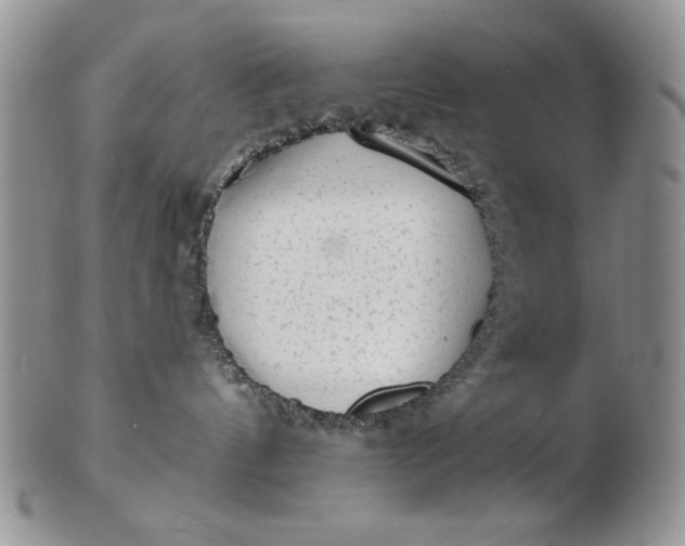 X0000103150144200809051645