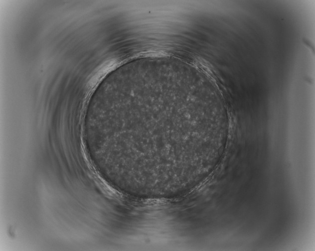 X0000103150145200809051645