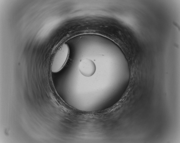 X0000103150146200809051645