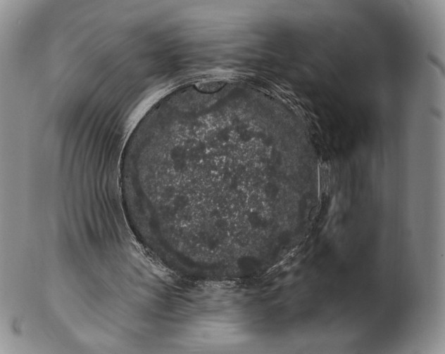 X0000103150147200809051645