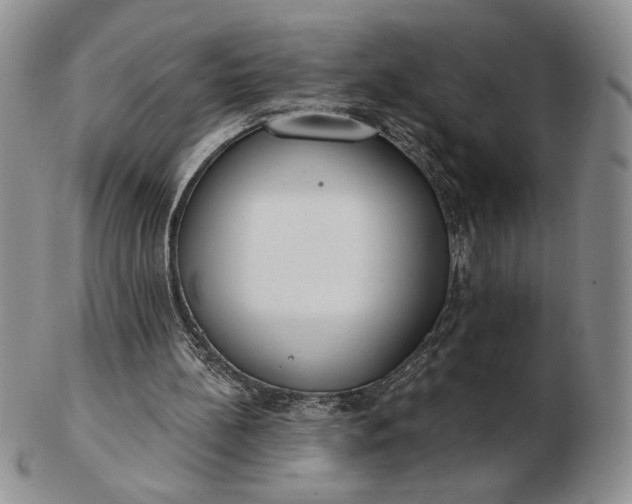 X0000103150148200809051645