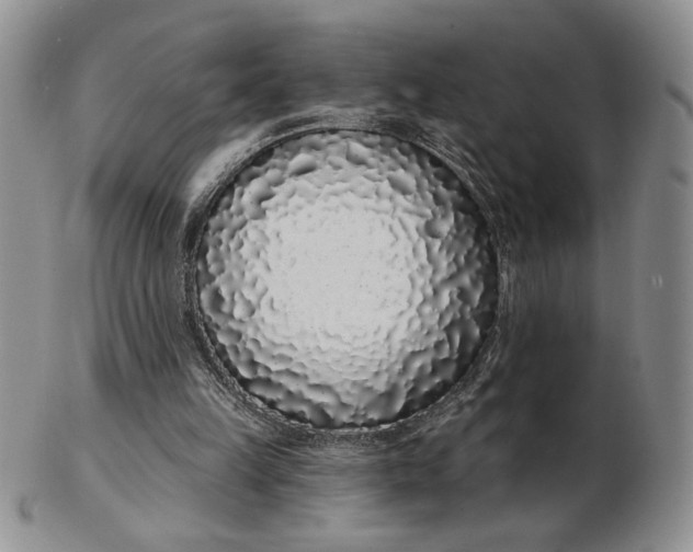 X0000103150149200809051645