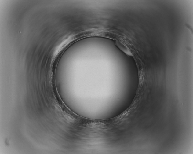 X0000103150150200809051645