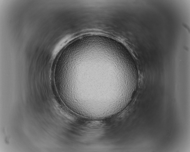 X0000103150151200809051645