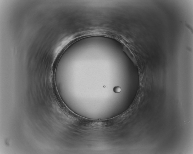 X0000103150152200809051645