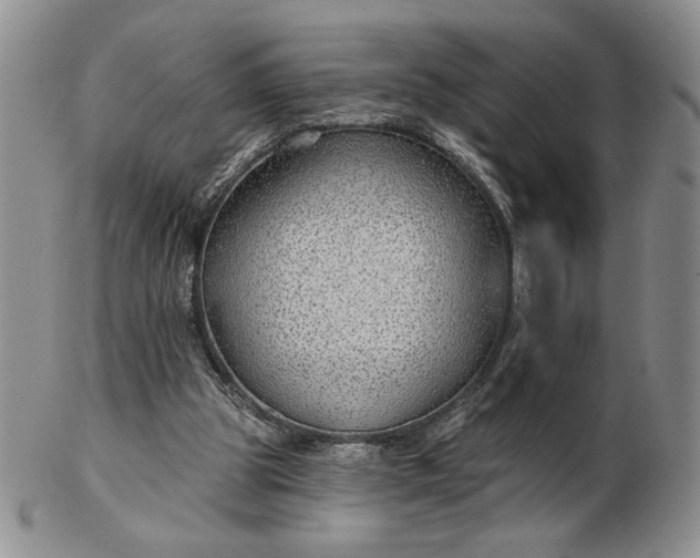 X0000103150153200809051645