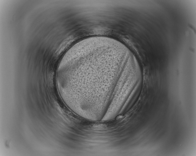 X0000103150154200809051645