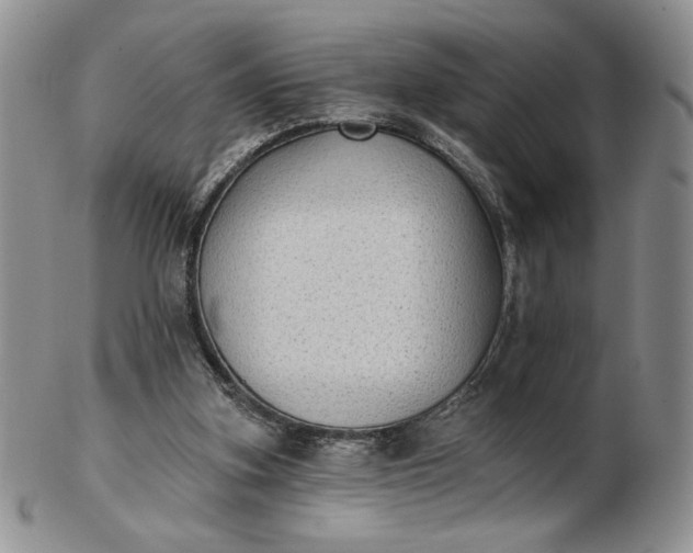 X0000103150155200809051645