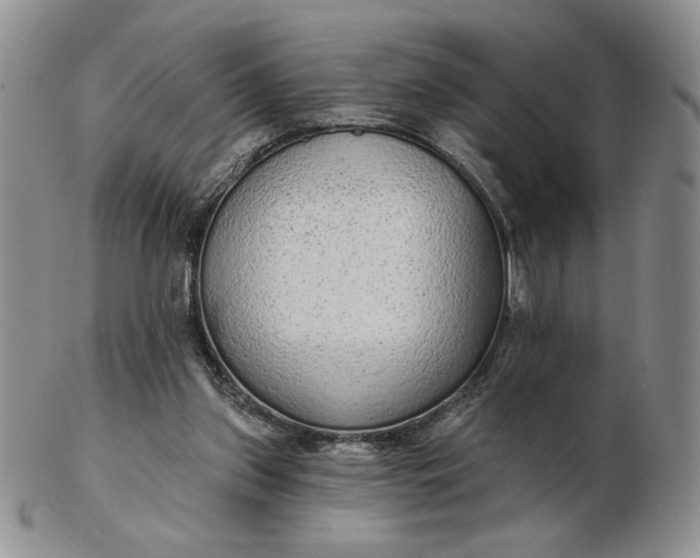 X0000103150157200809051645