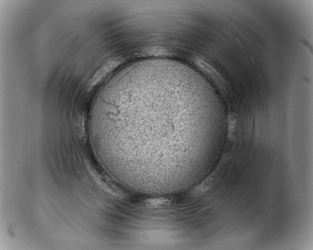 X0000103150158200809051645