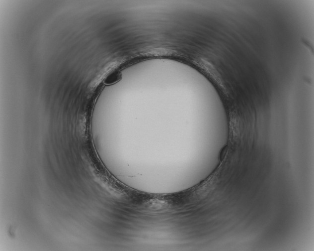 X0000103150159200809051645