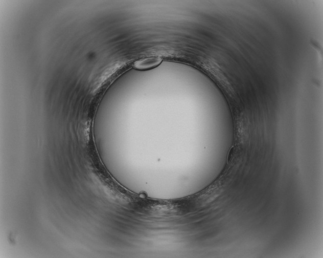 X0000103150160200809051645