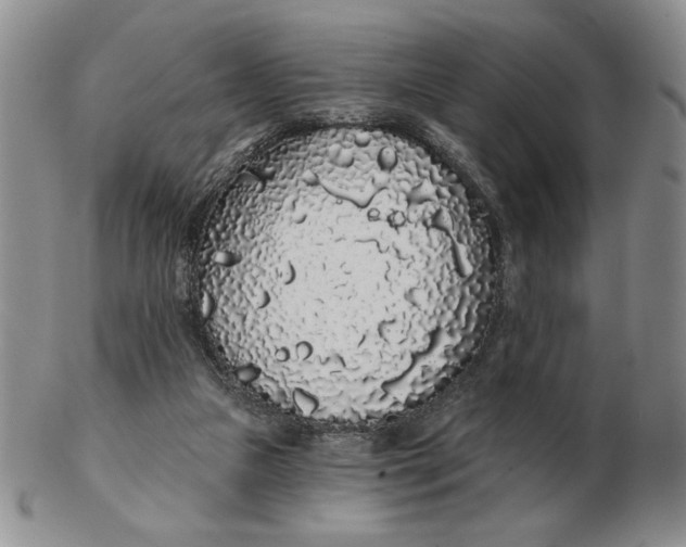 X0000103150161200809051645