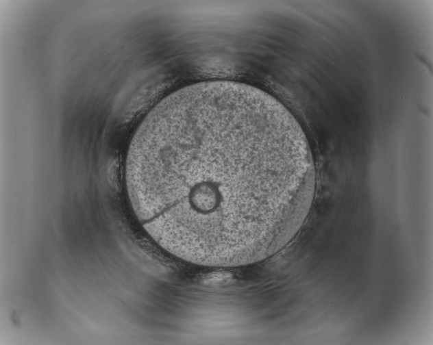 X0000103150162200809051645