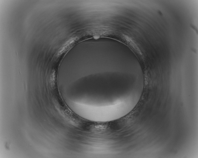 X0000103150163200809051645