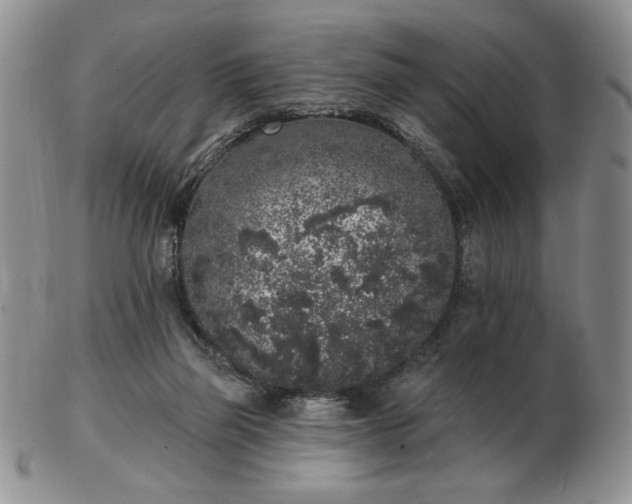 X0000103150165200809051645