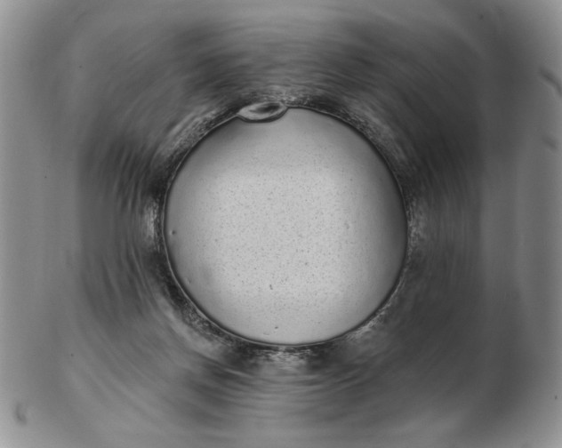 X0000103150166200809051645