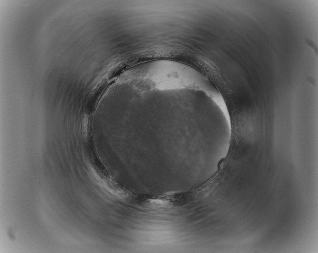 X0000103150167200809051645