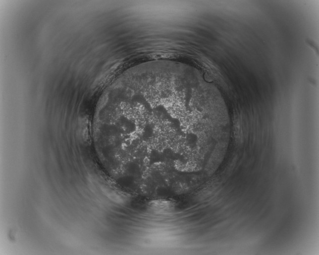 X0000103150169200809051645