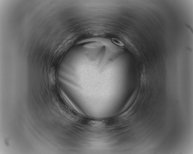 X0000103150170200809051645