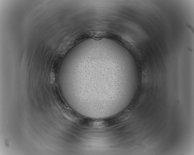 X0000103150173200809051645