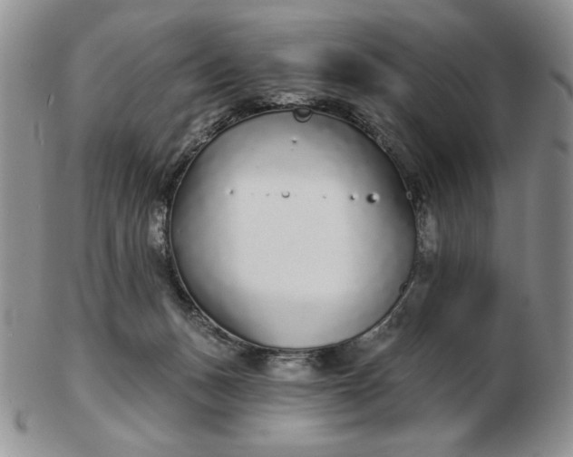 X0000103150175200809051645